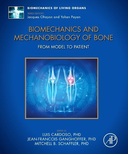 Cover image for Biomechanics and Mechanobiology of Bone