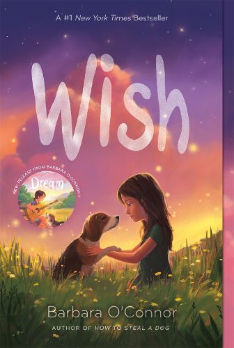 Cover image for Wish