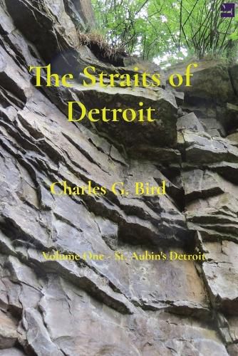 Cover image for The Straits of Detroit