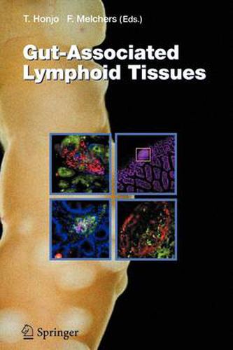 Cover image for Gut-Associated Lymphoid Tissues