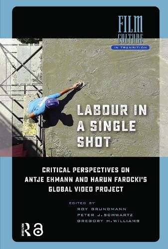 Cover image for Labour in a Single Shot