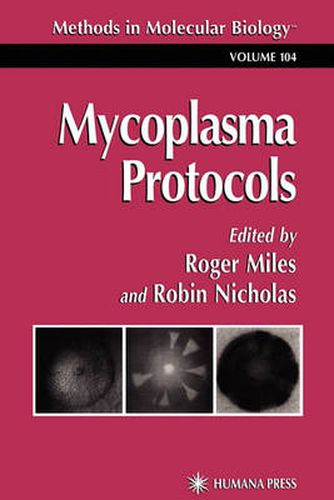 Cover image for Mycoplasma Protocols