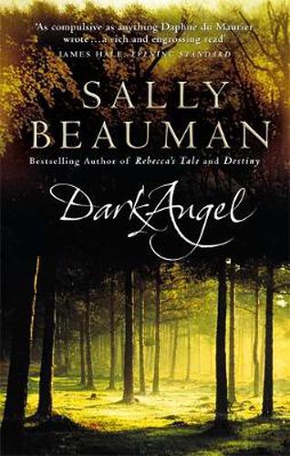 Cover image for Dark Angel