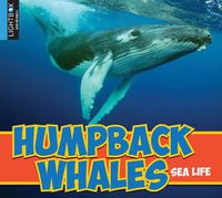 Cover image for Humpback Whales