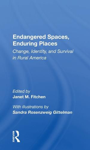 Cover image for Endangered Spaces, Enduring Places: Change, Identity, and Survival in Rural America