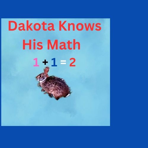 Cover image for Dakota Knows His Math 1+1=2