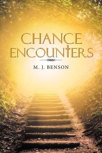 Cover image for Chance Encounters