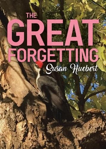 Cover image for The Great Forgetting