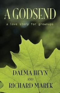 Cover image for A Godsend: A Love Story for Grownups