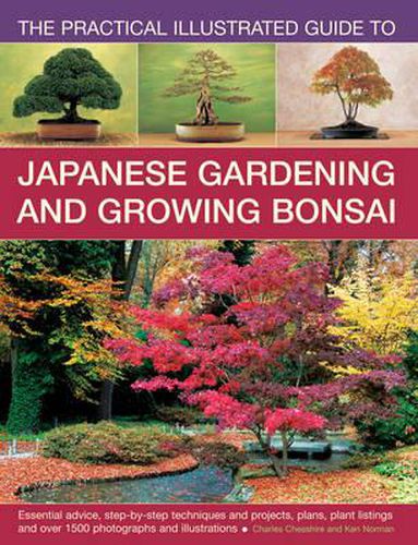 Cover image for Practical Illustrated Guide to Japanese Gardening and Growing Bonsai