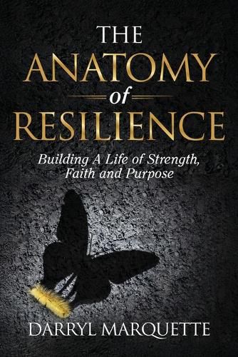 Cover image for The Anatomy of Resilience