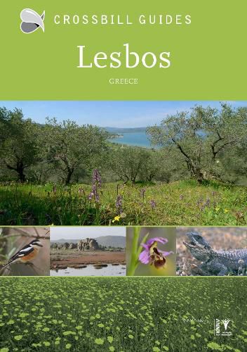 Cover image for Lesbos: Greece