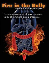 Cover image for Fire In The Belly: The Surprising Cause of Most Diseases, States Of Mind and Aging Processes