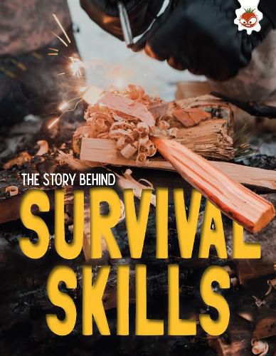 Cover image for The Story Behind: Survival Skills