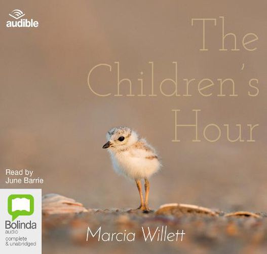 Cover image for The Children's Hour