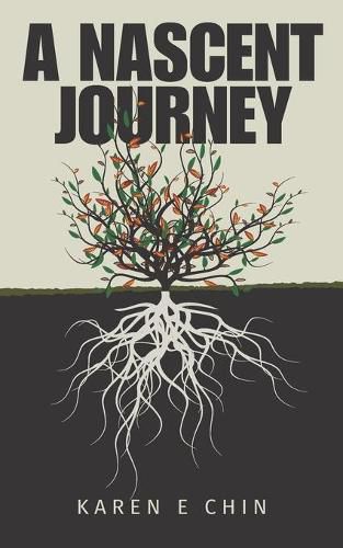 Cover image for A Nascent Journey: Not every gift is good for you but every gift can bring some good to you