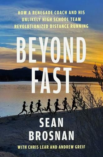 Cover image for Beyond Fast