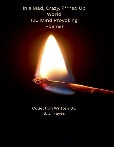 Cover image for In a Mad, Crazy, F***ed Up World (20 Mind Provoking Poems)