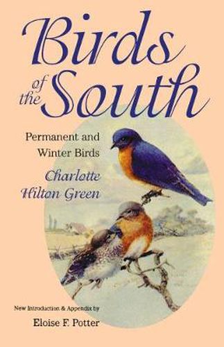 Cover image for Birds of the South: Permanent and Winter Birds