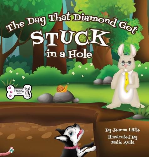 Cover image for The Day That Diamond Got Stuck in a Hole