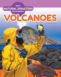 Cover image for Volcanoes