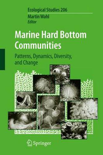 Cover image for Marine Hard Bottom Communities: Patterns, Dynamics, Diversity, and Change