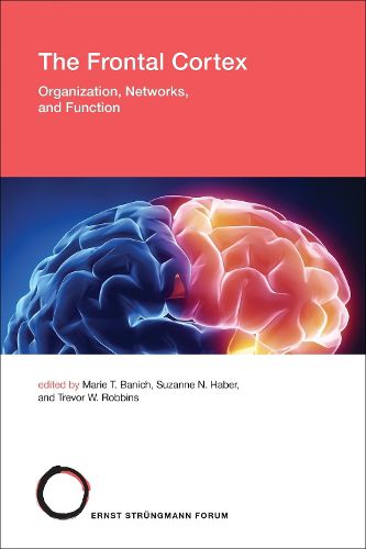 Cover image for The Frontal Cortex