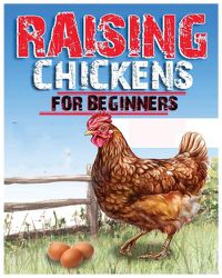 Cover image for Raising Chickens for Beginners