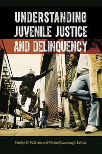 Cover image for Understanding Juvenile Justice and Delinquency