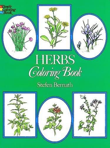 Cover image for Herbs Coloring Book