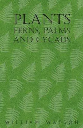 Plants - Ferns, Palms and Cycads