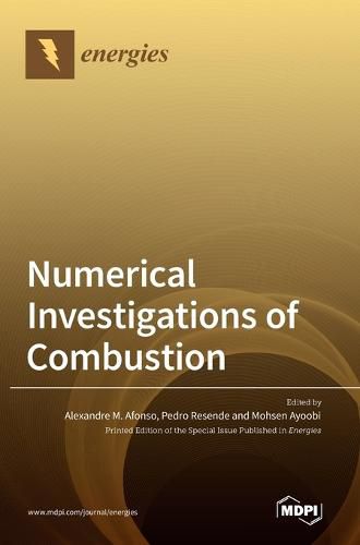 Cover image for Numerical Investigations of Combustion