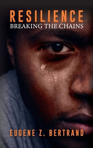 Cover image for Resilience