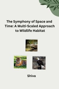 Cover image for The Symphony of Space and Time