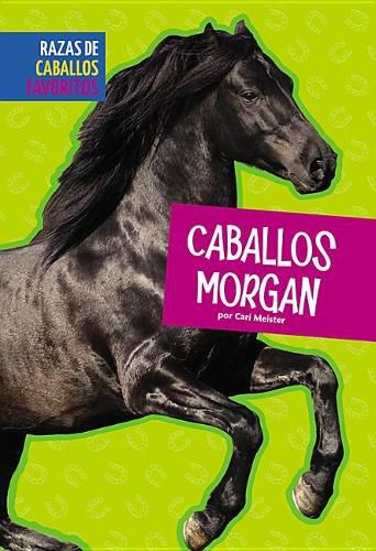 Cover image for Caballos Morgan