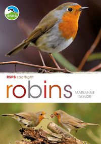 Cover image for RSPB Spotlight: Robins