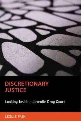 Cover image for Discretionary Justice: Looking Inside a Juvenile Drug Court