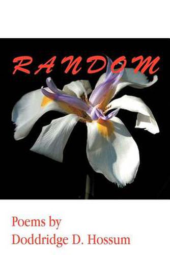 Cover image for Random