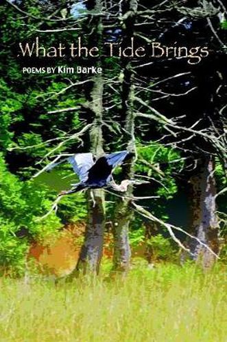 Cover image for What the Tide Brings