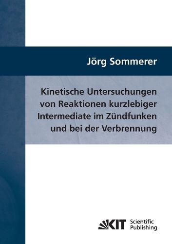 Cover image for Kinetische Untersuchungen von Reaktionen kurzlebiger Intermediate im Zundfunken und bei der Verbrennung