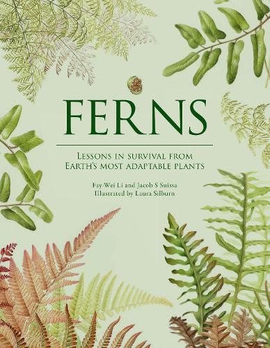 Cover image for Ferns