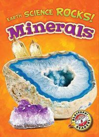 Cover image for Minerals