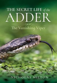 Cover image for The Secret Life of the Adder: The Vanishing Viper