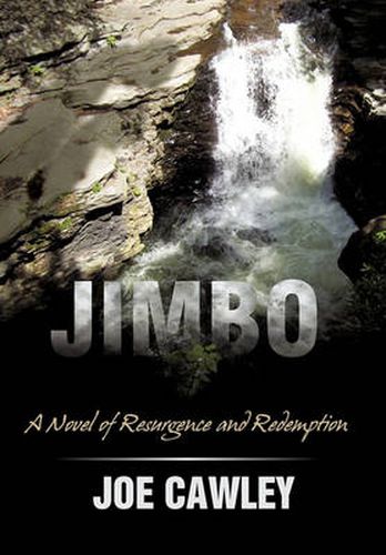 Cover image for Jimbo