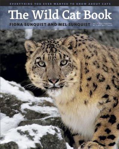 Cover image for The Wild Cat Book: Everything You Ever Wanted to Know about Cats