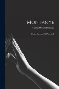 Cover image for Montanye: or, the Slavers of Old New York