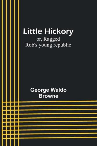 Little Hickory; or, Ragged Rob's young republic