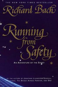 Cover image for Running from Safety