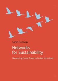 Cover image for Networks for Sustainability: Harnessing people power to deliver your goals