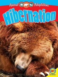 Cover image for Hibernation